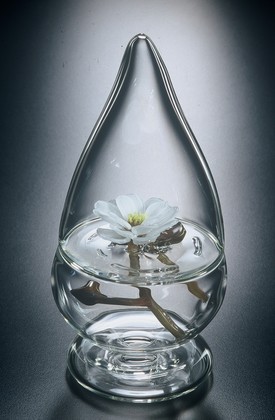 ’’Flower in a Drop’’