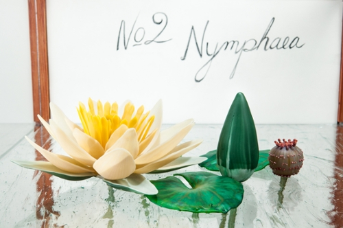 Nymphaea - Glass Lifeforms