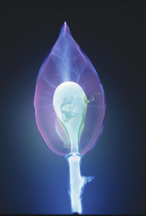 'Baby' was made for some friends that were having a baby who loved xenon, neon and uranium glass