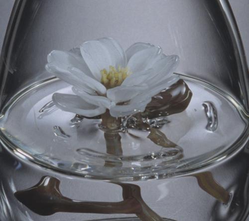 Sally Prasch, Flower in a Drop (crop)